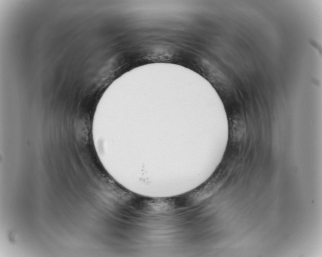 X0000096200370200802011305