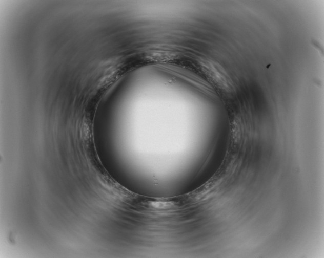 X0000096200371200802011305