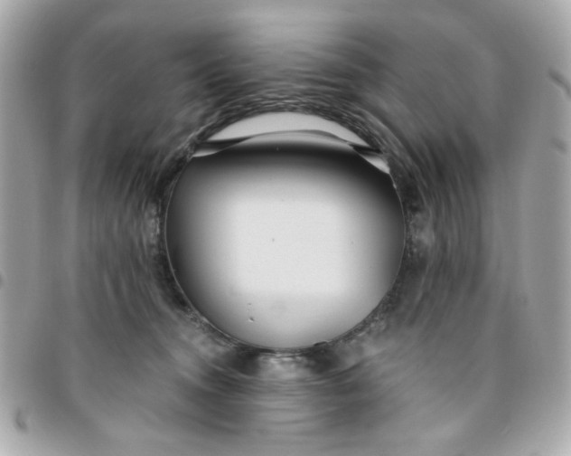 X0000096200372200802011305