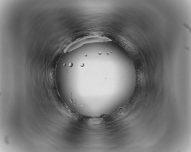 X0000096200373200802011305