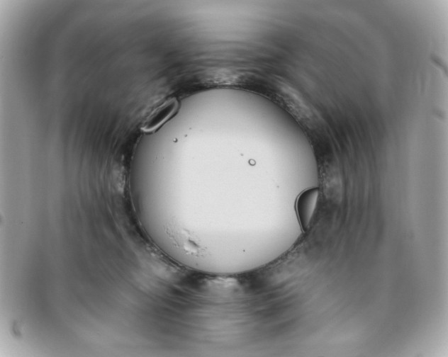 X0000096200374200802011305