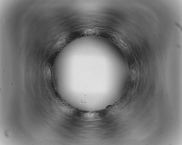 X0000096200375200802011305