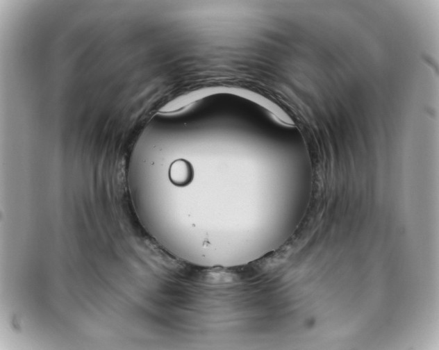 X0000096200376200802011305