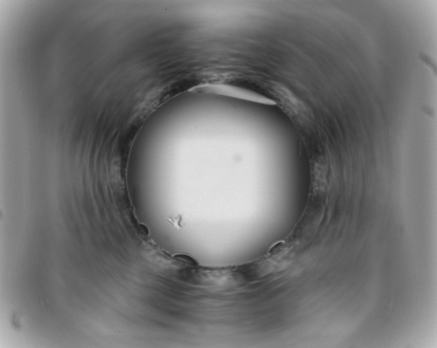 X0000096200377200802011305