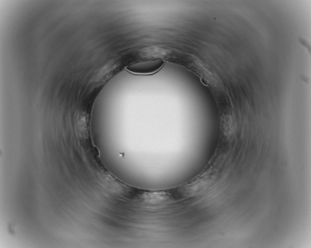 X0000096200378200802011305