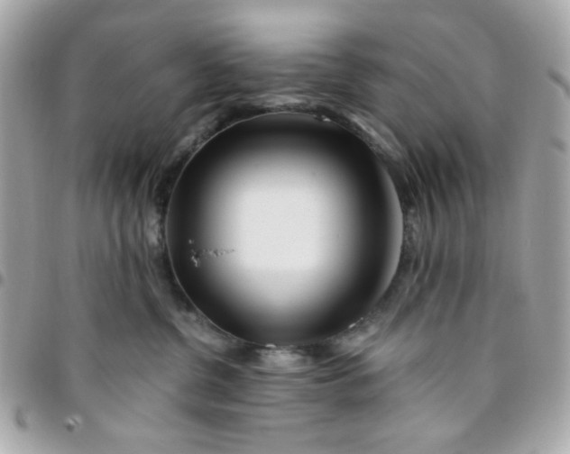 X0000096200380200802011305