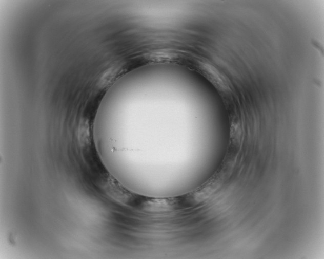 X0000096200381200802011305