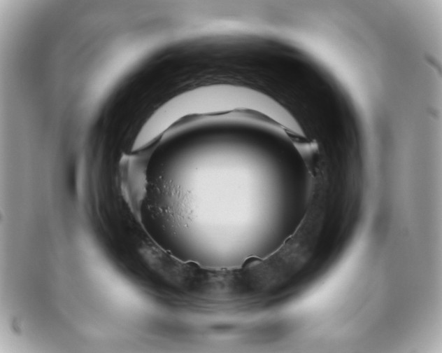 X0000096200382200802011305