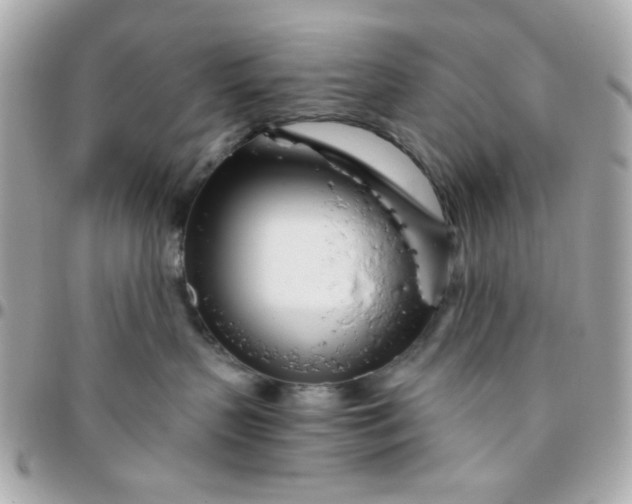 X0000096200383200802011305