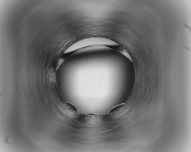 X0000096200384200802011305