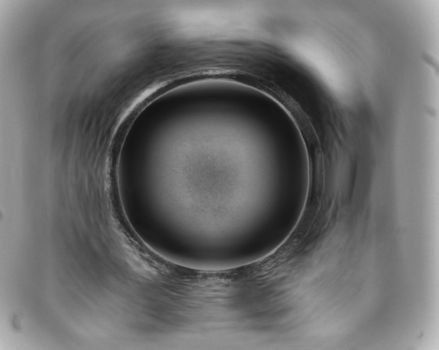 X0000096200387200802011304