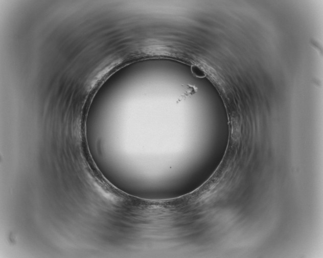 X0000096200390200802011304