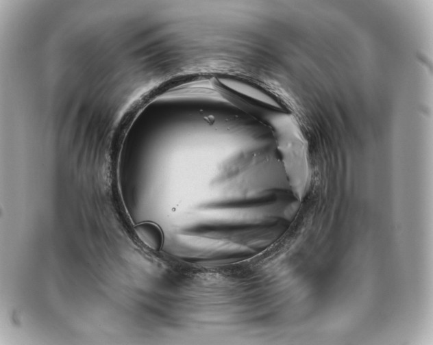 X0000096200392200802011304