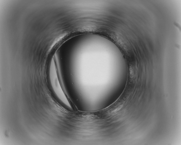 X0000096200396200802011304