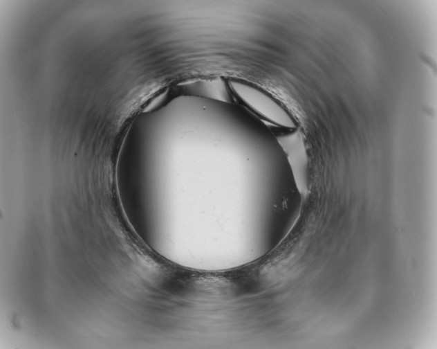 X0000096200397200802011304