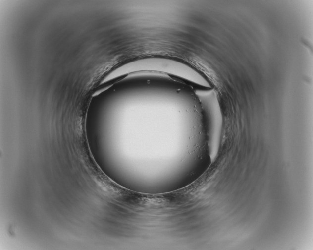 X0000096200401200802011304