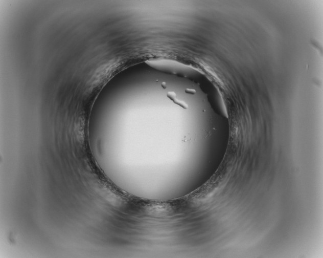 X0000096200402200802011304