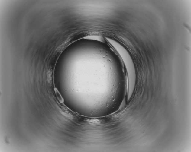 X0000096200409200802011304