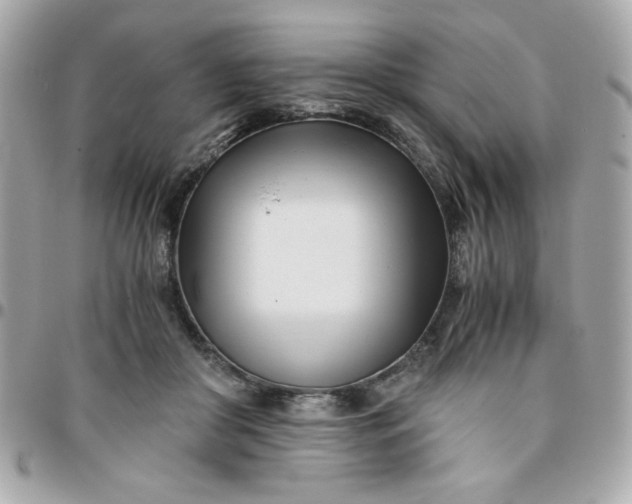 X0000096200410200802011304