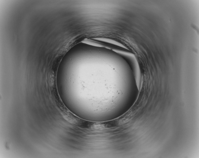 X0000096200413200802011304