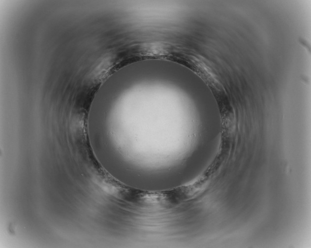 X0000096200415200802011304