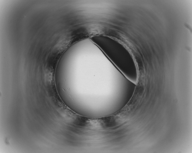 X0000096200417200802011304