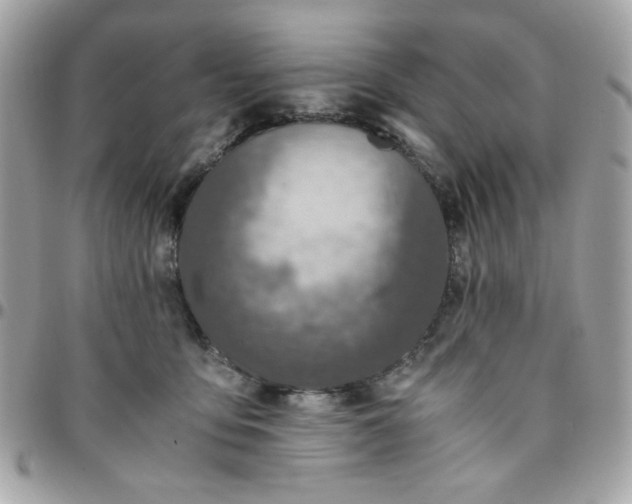 X0000096200419200802011304