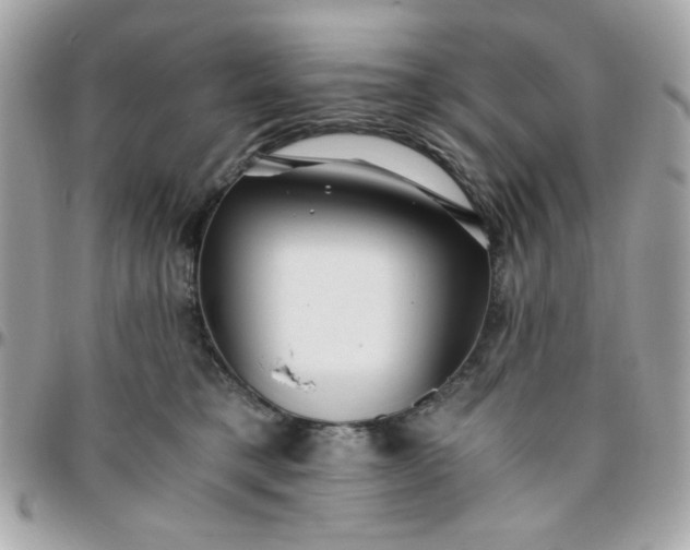 X0000096200421200802011304