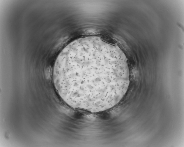 X0000096200423200802011304