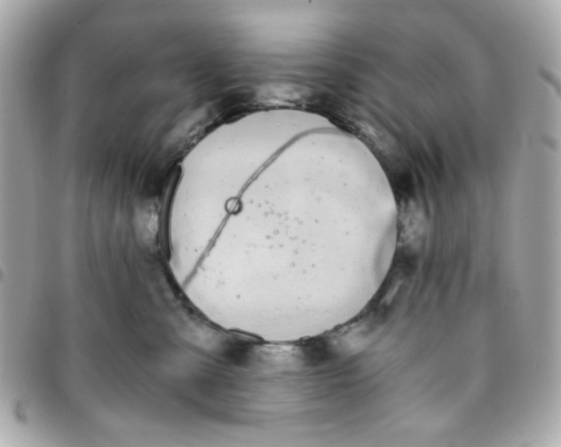 X0000096200427200802011304