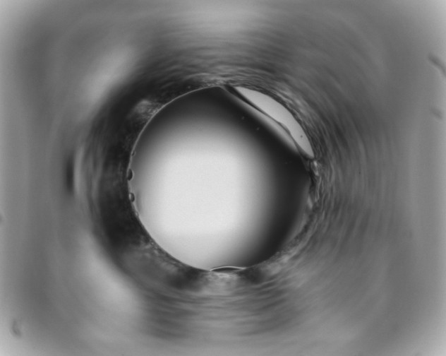 X0000096200429200802011304