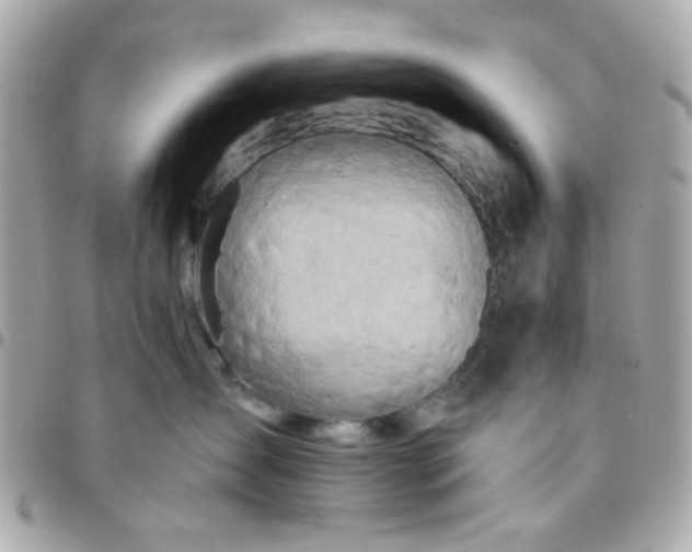 X0000096200431200802011304