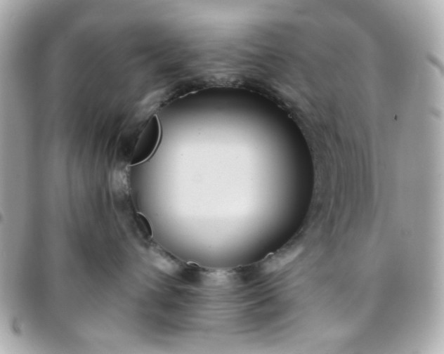 X0000096200432200802011304