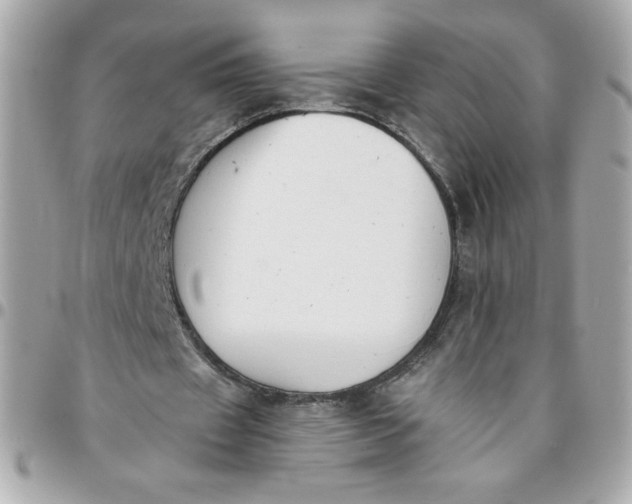 X0000096200433200802011303