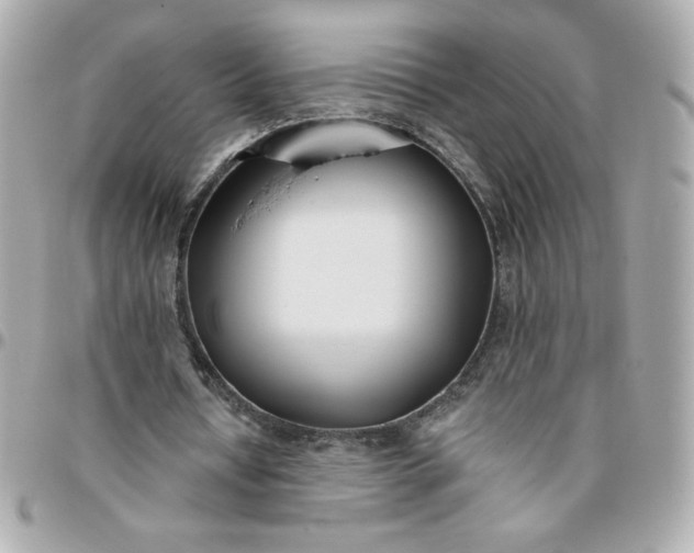 X0000096200434200802011303