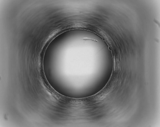 X0000096200435200802011303