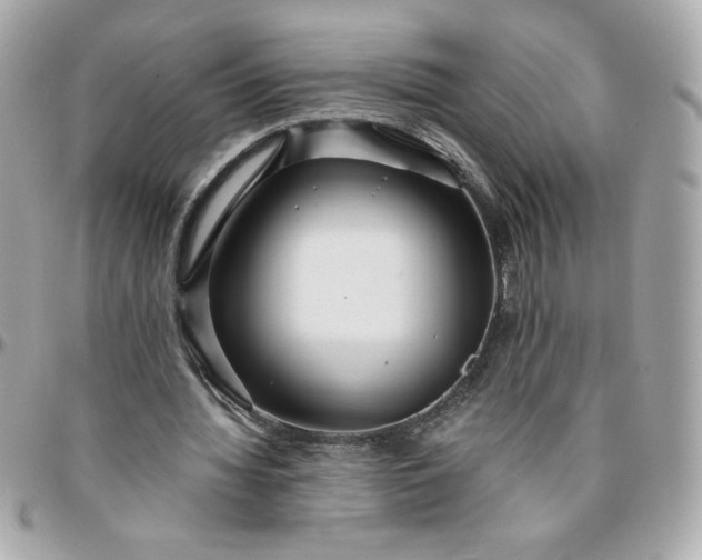 X0000096200436200802011303