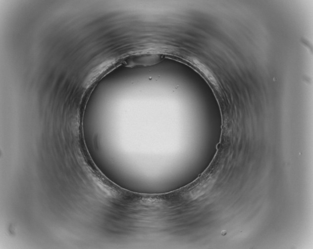 X0000096200437200802011303