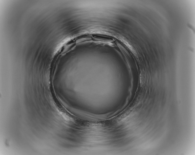 X0000096200438200802011303