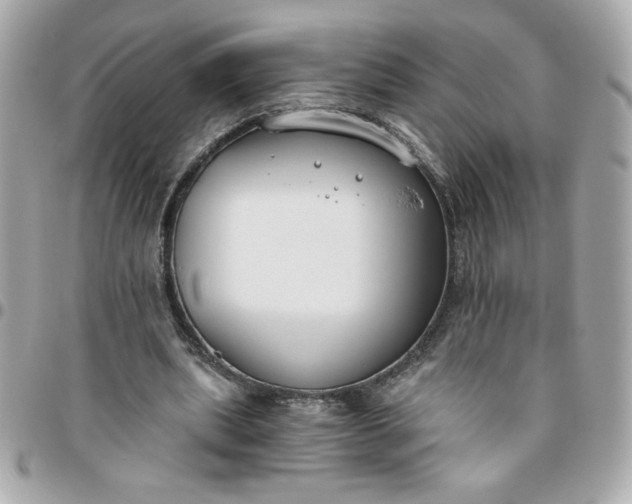 X0000096200439200802011303