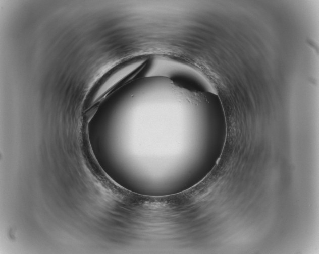 X0000096200440200802011303