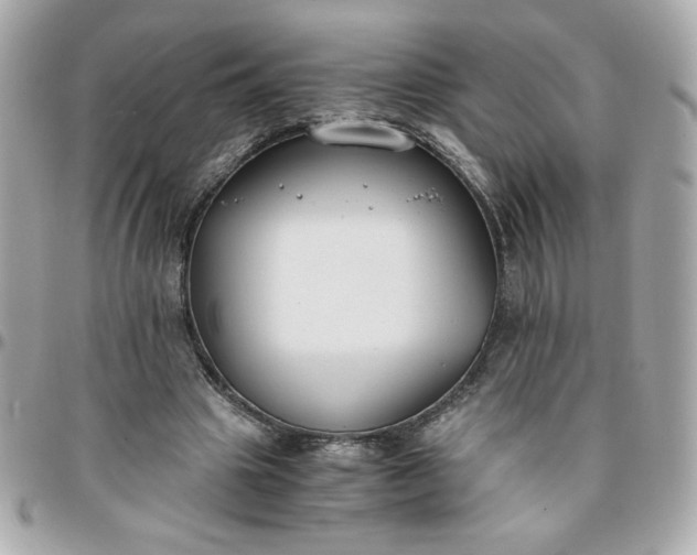 X0000096200441200802011303