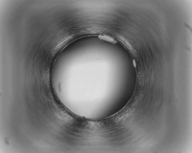 X0000096200442200802011303