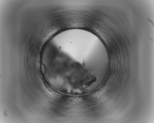 X0000096200443200802011303