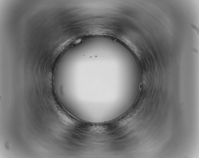 X0000096200445200802011303