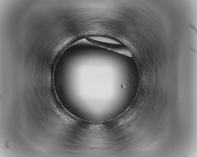 X0000096200446200802011303