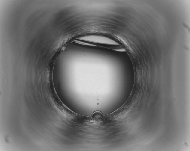 X0000096200447200802011303