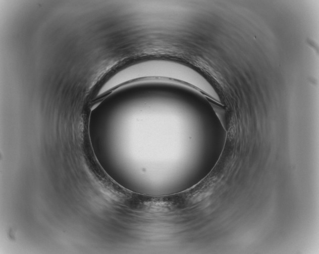 X0000096200448200802011303