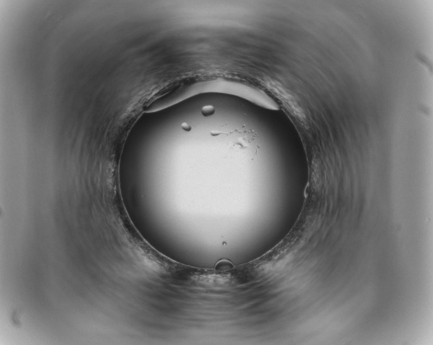 X0000096200449200802011303