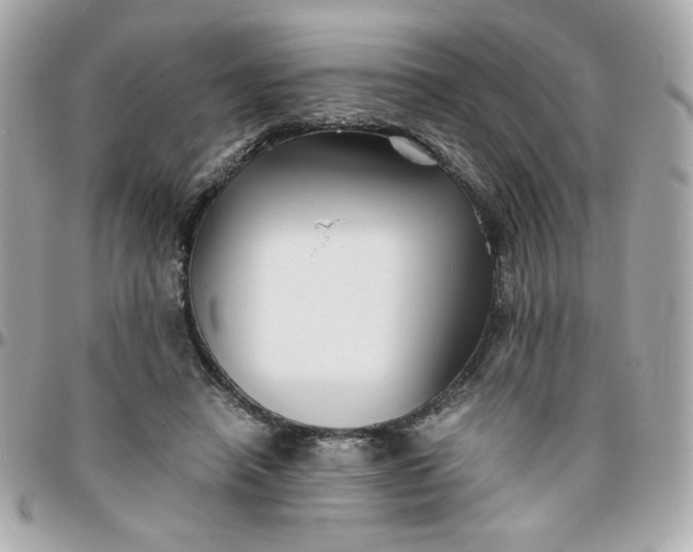 X0000096200450200802011303